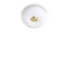 Arizona Pl2 - Ideal Lux - plafon
