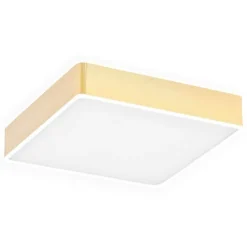 Atlantis 4051 - Argon - plafon LED średni