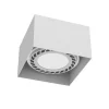 Cage out 01268 - Antigo - plafon