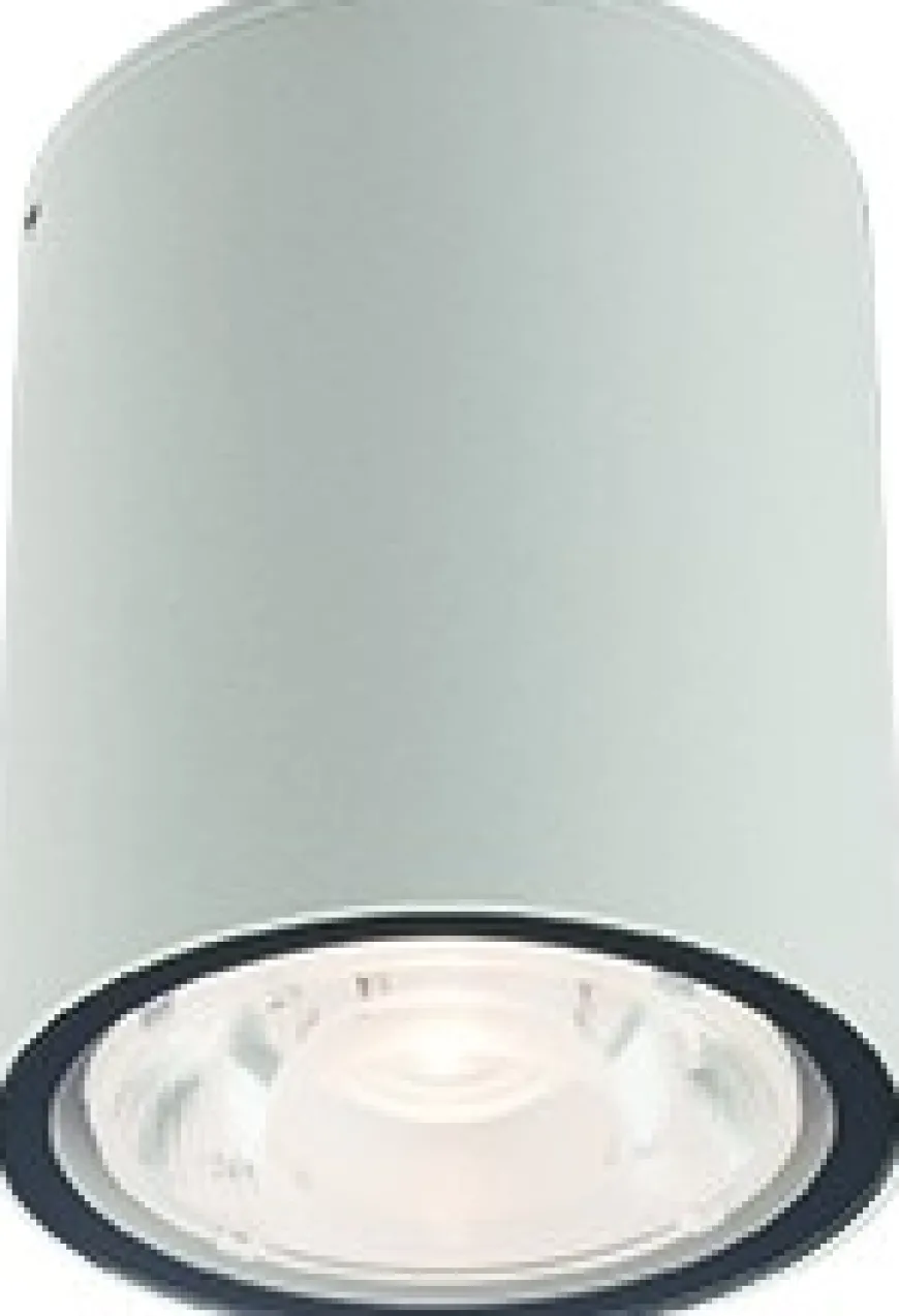 Edesa Led M White - Nowodvorski - lampa sufitowa zewnętrzna
