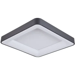 Giacinto Led Black - Italux - plafon