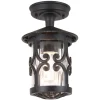 Hereford Black H26 - Elstead Lighting - lampa sufitowa ogrodowa