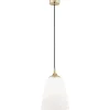 Jackson 4698 - Argon - lampa wisząca 1 pł.