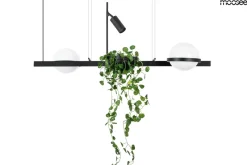 Plant Czarna - Moosee - lampa wisząca