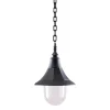 Shannon Black - Elstead Lighting - lampa wisząca ogrodowa