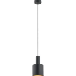 Sines 4219 - Argon - lampa wisząca 1 pł.
