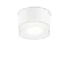 Urano Pl1 Small - Ideal Lux - plafon zewnętrzny